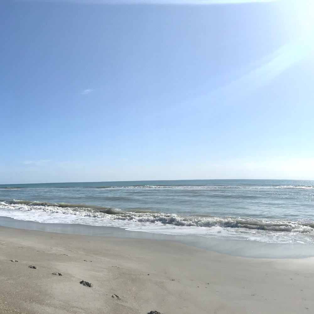 Meet your Posher, Leigh